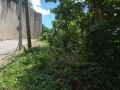 Maria-Luisa-Estate-Park-779sqm-Lot-For-Sale-Phase-5-Cebu (1)