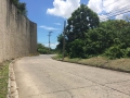 Maria-Luisa-Estate-Park-779sqm-Lot-For-Sale-Phase-5-Cebu (2)