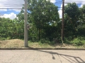 Maria-Luisa-Estate-Park-779sqm-Lot-For-Sale-Phase-5-Cebu (4)