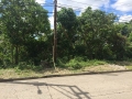 Maria-Luisa-Estate-Park-779sqm-Lot-For-Sale-Phase-5-Cebu (5)