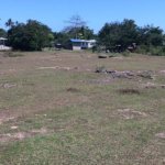 5000sqm-residential-lot-for-sale-maribago-lapu-lapu-city-mactan-cebu (3)