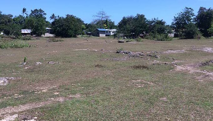 5000sqm-residential-lot-for-sale-maribago-lapu-lapu-city-mactan-cebu (3)