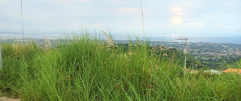 vista-grande-lot-for-sale-bulacao-talisay-city-cebu (6)