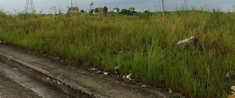 vista-grande-lot-for-sale-bulacao-talisay-city-cebu-lot46 (2)