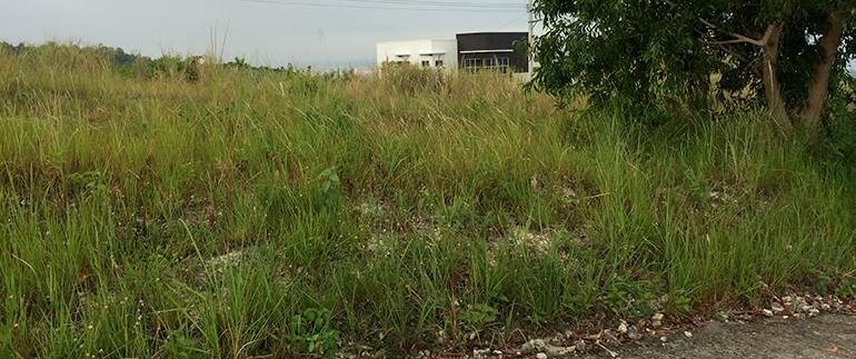 vista-grande-lot-for-sale-bulacao-talisay-city-cebu-lot46 (4)