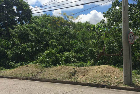 Maria-Luisa-Estate-Park-779sqm-Lot-For-Sale-Phase-5-Cebu