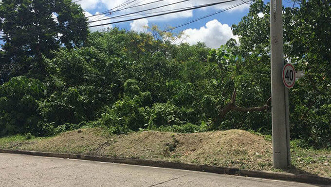 Maria Luisa Estate Park – Lot For Sale – Phase 5