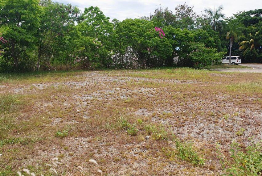 molave-highlands-lot-for-sale-consolacion-cebu-m229 (11)