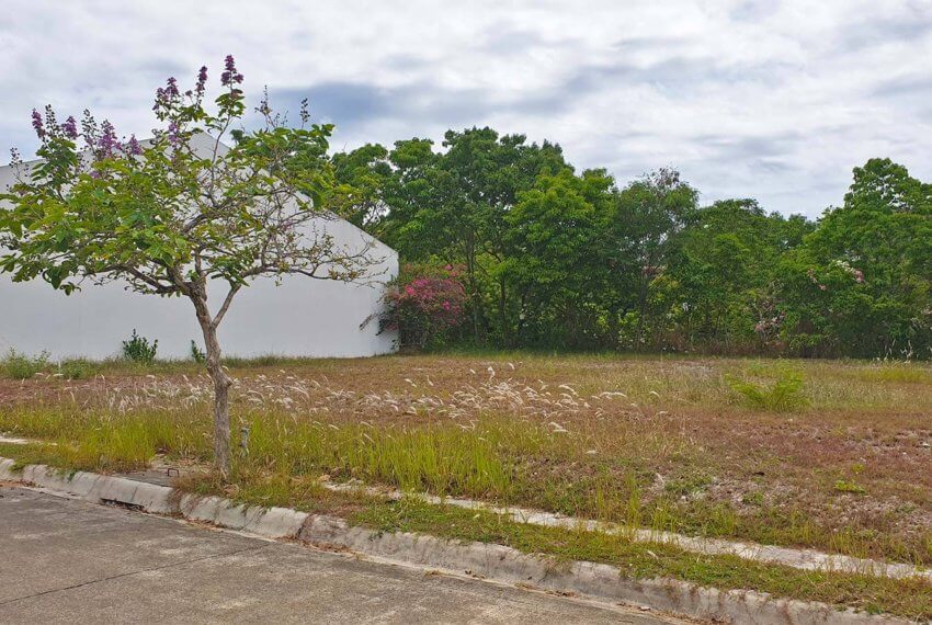 molave-highlands-lot-for-sale-consolacion-cebu-m229 (3)